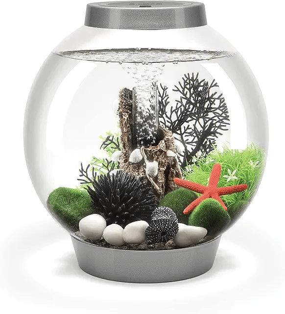 biOrb fish tank ideal for a small home