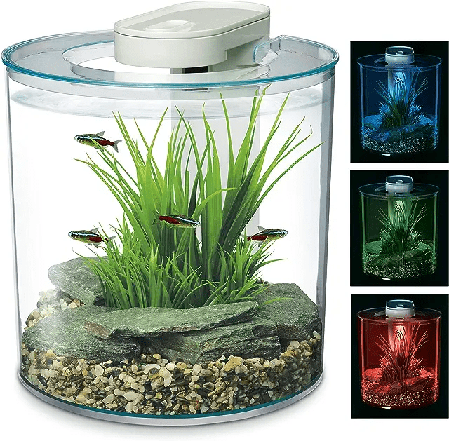 Picture of Best Aquariums for Small Apartments and Small Rooms – The Peak Dream