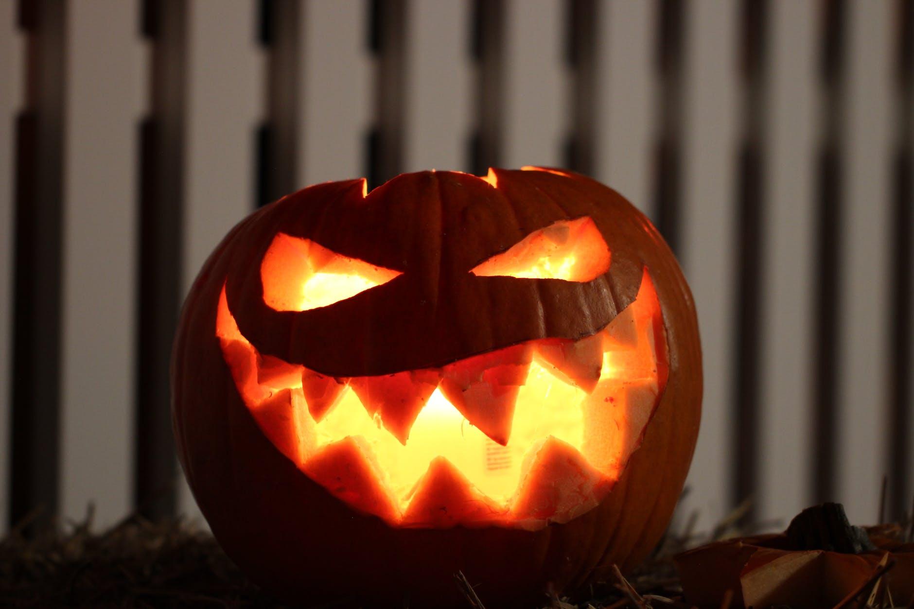 Frighteningly Good Halloween Ideas and Gifts