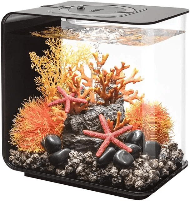 Photo inspiration: Visual Reference: Best Aquariums For Small Apartments And Small Rooms