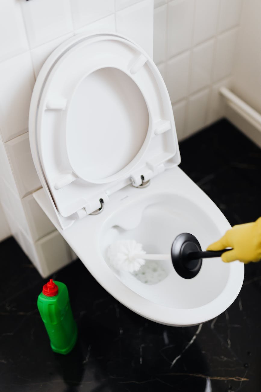 A Guide to Choosing the Best Toilet Brush