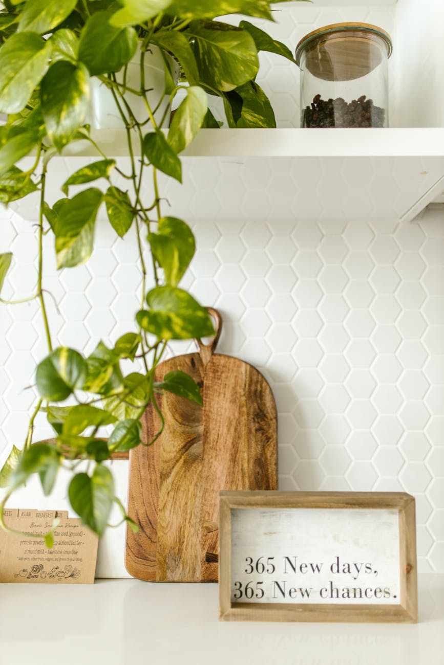 What Are The Best Indoor Draping Plants?