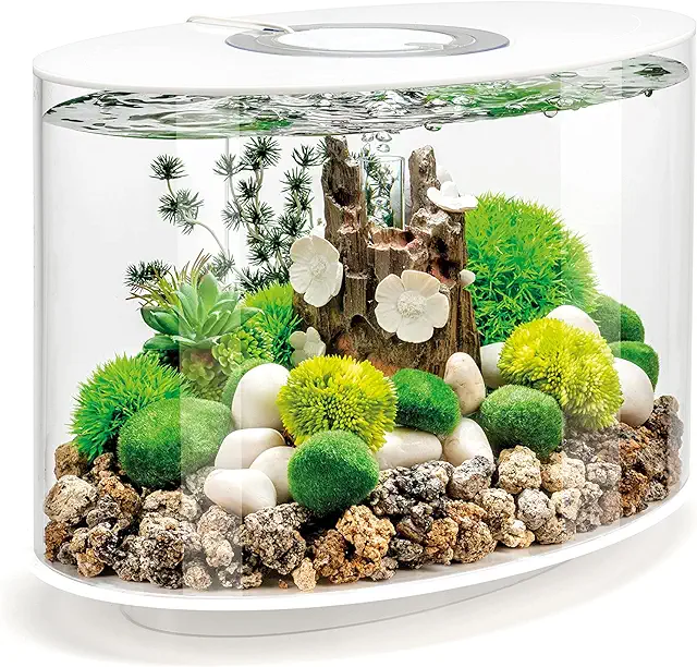 The 9 Best Home Aquariums: Glass, Nano, & Rimless Tanks for Beginners and Interior Design