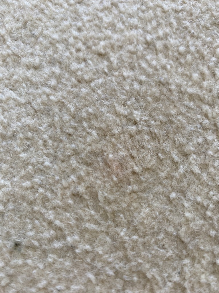 Review Rug Doctor Heavy Stain Pre Treatment Spray The Peak Dream